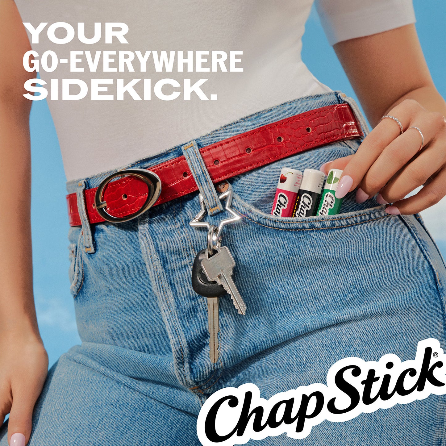 
                  
                    ChapStick Classic Variety Lip Balm
                  
                