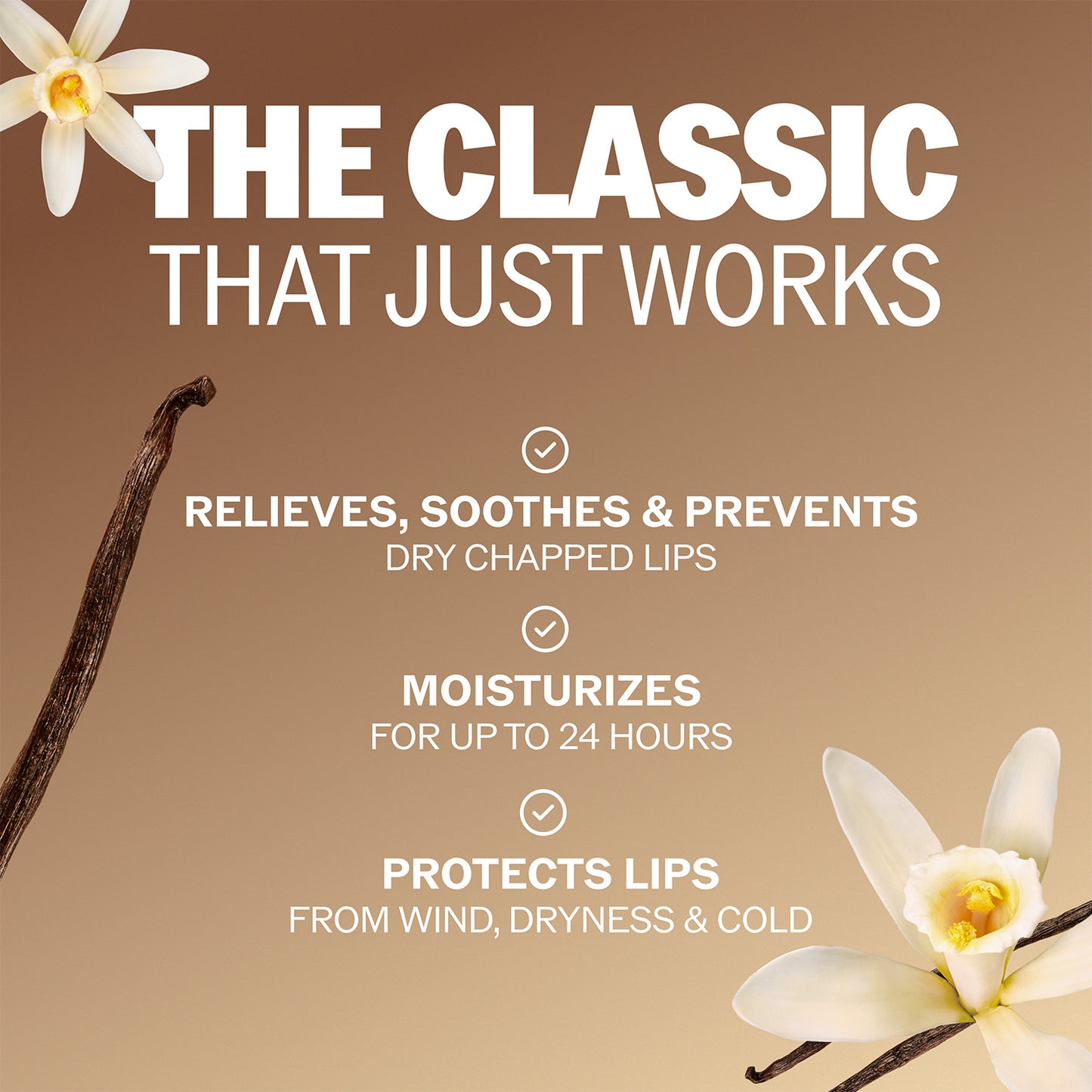 
                  
                    ChapStick Classic Vanilla Lip Balm
                  
                